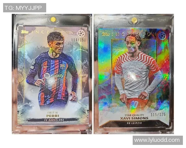 德罗巴球星卡足球收藏价值与经典瞬间全面解析 德罗巴球星卡足球收藏价值与经典瞬间全面解析